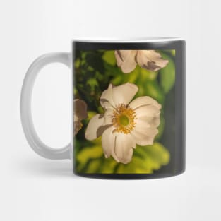 Japanese Anemone on a Sunny Day Mug